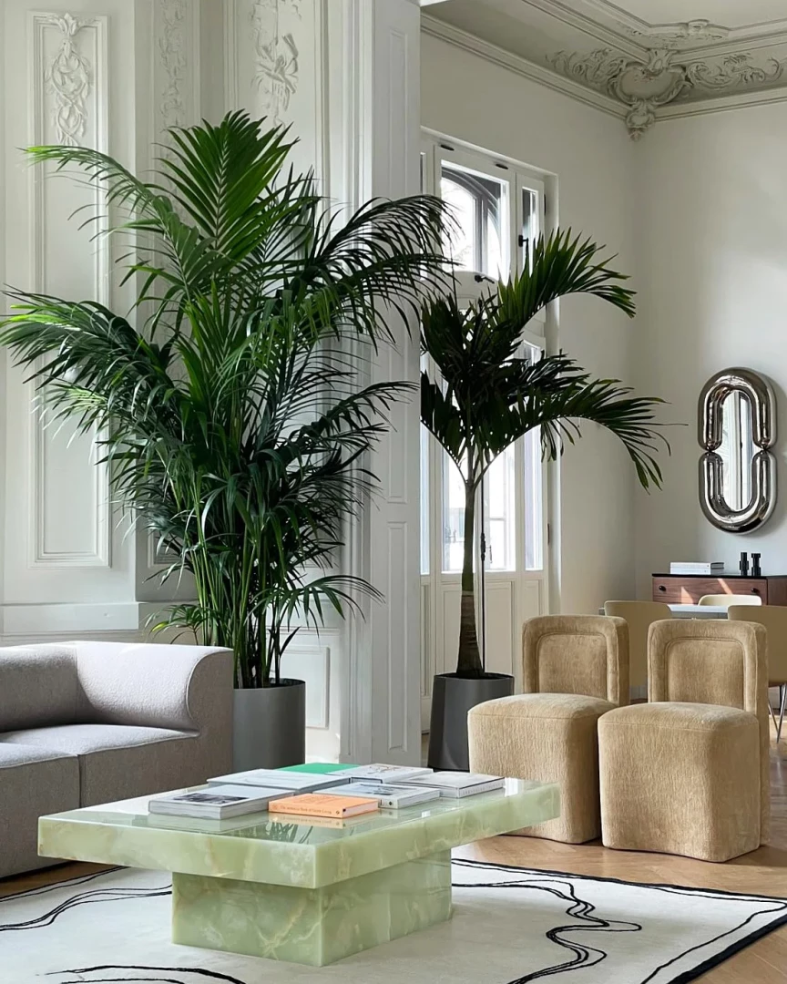 Cara table - Image 3